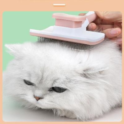 Brosse pour Chat de Toilettage : Le Secret d'un Pelage Sain et Brillant - maboutique - duchat