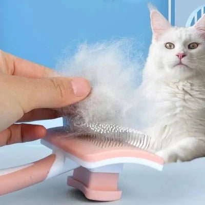 Brosse pour Chat de Toilettage : Le Secret d'un Pelage Sain et Brillant - maboutique - duchat