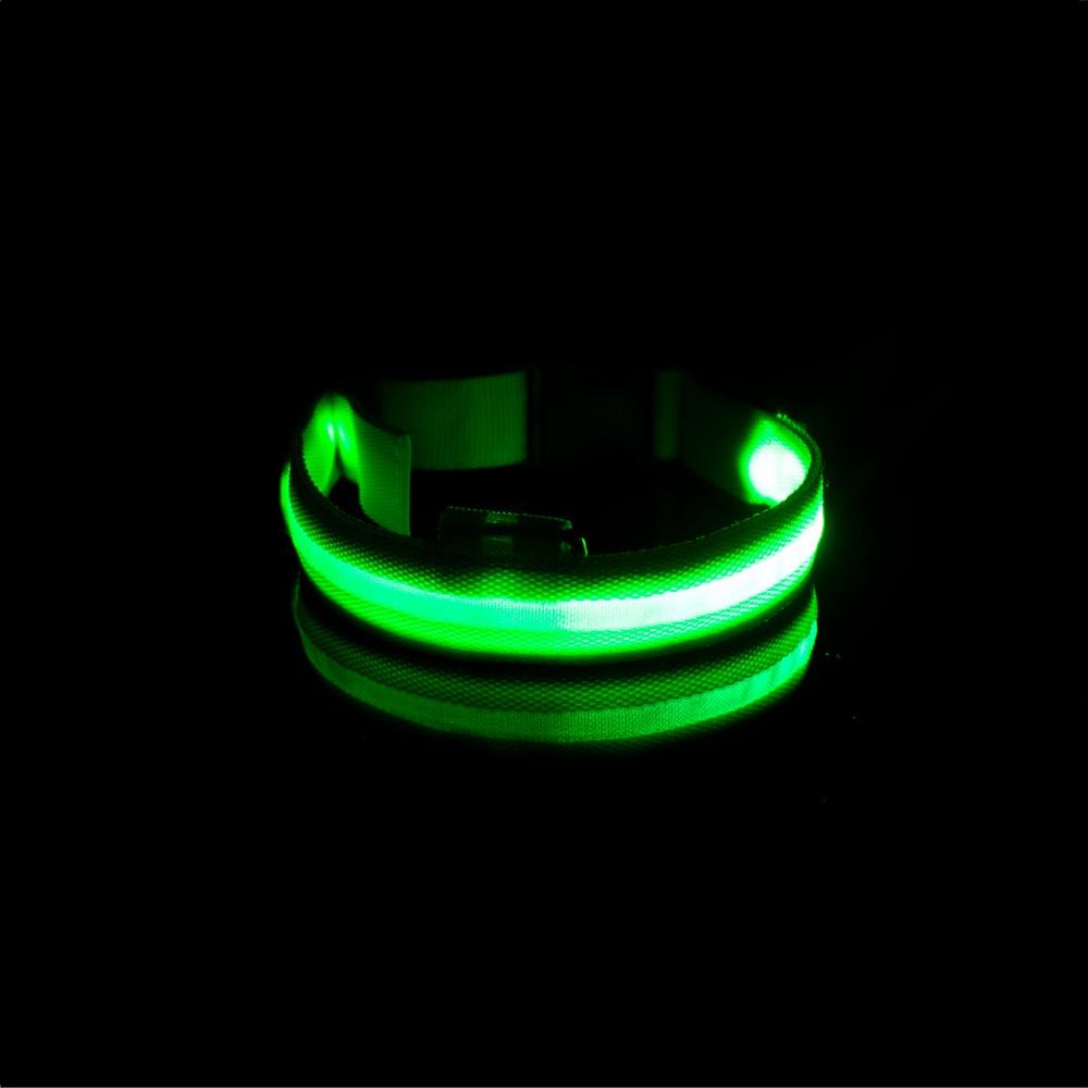 LedCollar™ - Collier à LED rechargeable pour chien - chatchien-belami