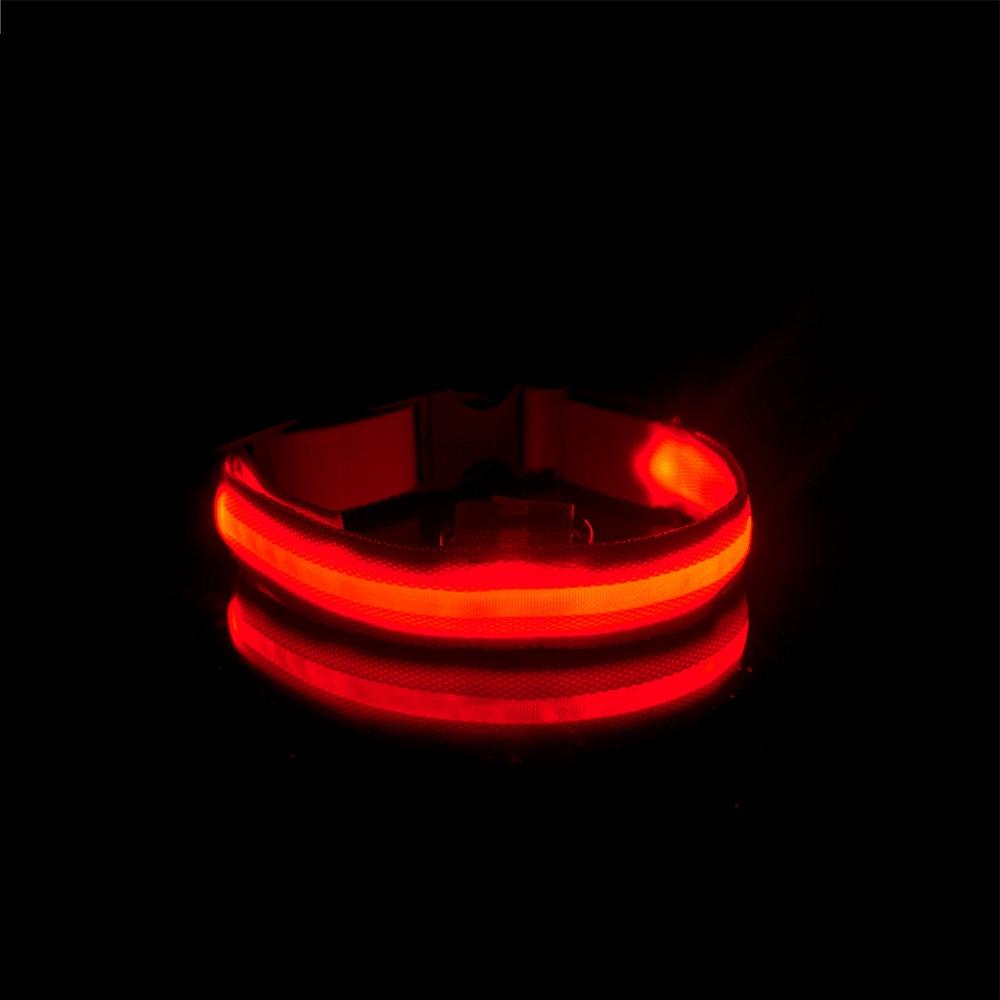 LedCollar™ - Collier à LED rechargeable pour chien - chatchien-belami